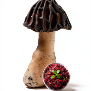 Wild Edibles Mushroom Foraging Guide Kindle Edition by NaturePress-0