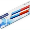 Eisco Bar Magnets Set 2 Long 150mm Chrome Steel North South Poles-2
