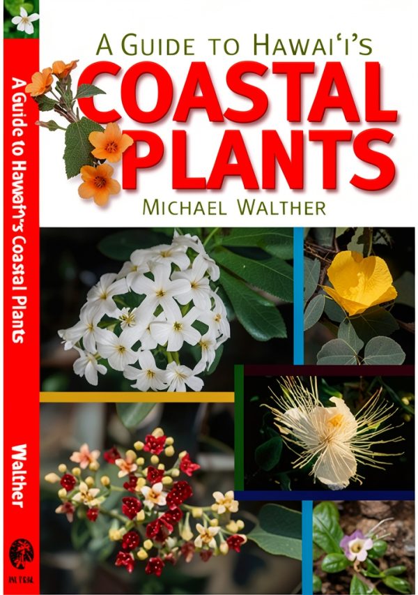 Environmental Ecology Kindle eBook Amazon 2025 63.6 MB Ages 12 to 18-0