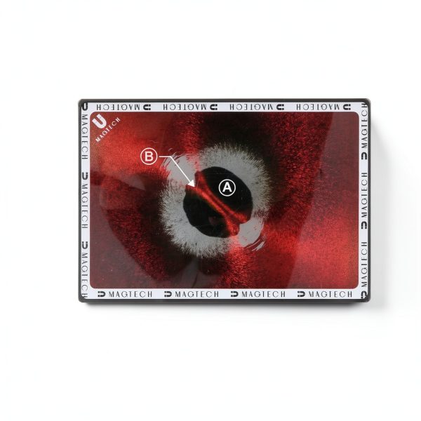 STEM Magnetics Quini Dynamic Magnetic Display Powder 5.12x3.54 Inch-2