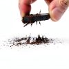 EISCO Coarse Iron Filings, 1 LB (454g) in Sprinkle Bottle - 20 Mesh Iron Shavings for Magnets-1