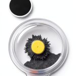 Dowling Magnets Magnetic Field Viewing STEAM Kit for Kids 8+ – View Invisible Magnetic Force Lines in Clear Tray with Magnets & Filings for Young Scientists-0