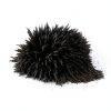 DAILYLIFE Bulk Iron Filings- 1 LB Iron Filings with 4 Magnets for Science Experiments, Iron Powder for Magnet Education and School Projects-0