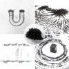 DAILYLIFE Bulk Iron Filings- 1 LB Iron Filings with 4 Magnets for Science Experiments, Iron Powder for Magnet Education and School Projects-5
